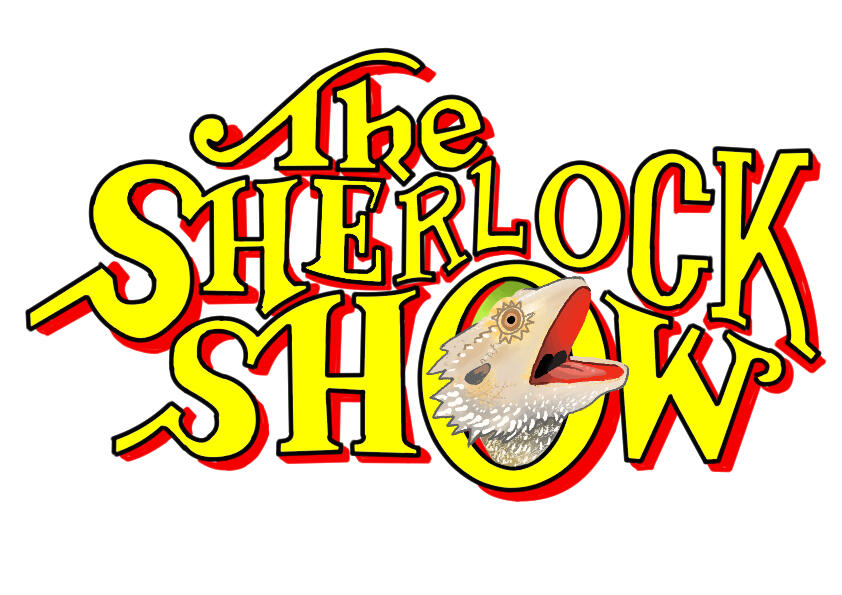 The Sherlock Show (2020) 8.26x11.69in Digtal painting